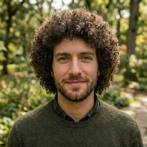 Medium afro hairstyle for men with natural curls and rounded volume shape